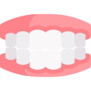 Lentes de Contato e Facetas